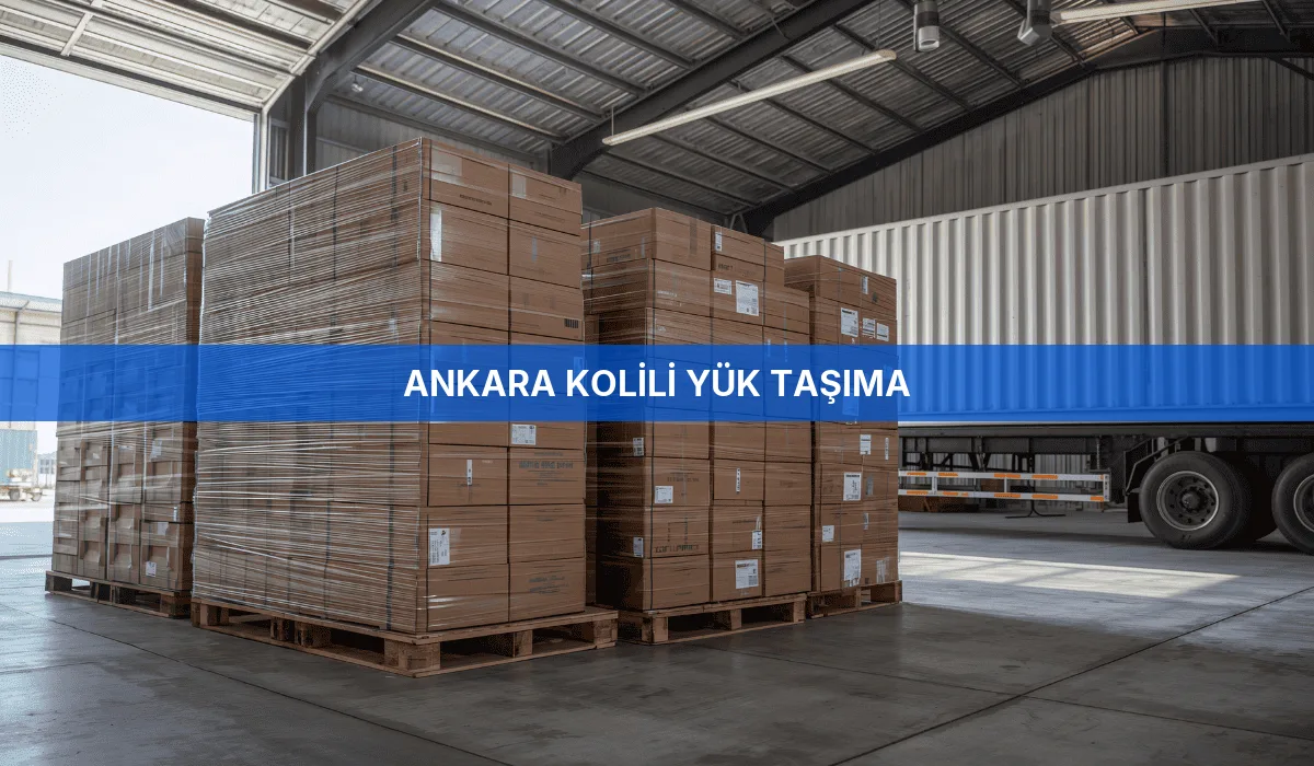 Ankara Kolili Yük Taşıma